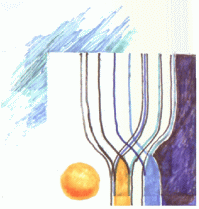 Logo von Markus Schennach